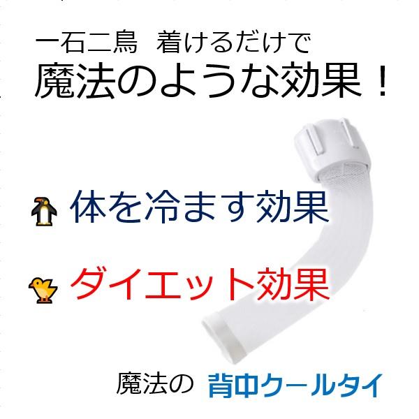 交感神経・痩せる・冷ます・仕組を引き出す 背中クールタイ 一石二鳥 サプリ お茶 カプサイシンより即効性 お腹周り 引き締めダイエット器具 熱中症対策グッズ |  | 01