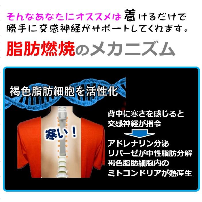 交感神経・痩せる・冷ます・仕組を引き出す 背中クールタイ 一石二鳥 サプリ お茶 カプサイシンより即効性 お腹周り 引き締めダイエット器具 熱中症対策グッズ |  | 03