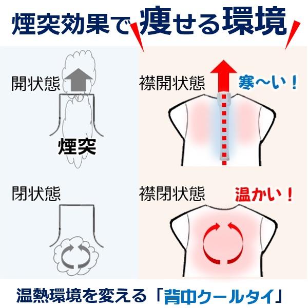 交感神経・痩せる・冷ます・仕組を引き出す 背中クールタイ 一石二鳥 サプリ お茶 カプサイシンより即効性 お腹周り 引き締めダイエット器具 熱中症対策グッズ |  | 08