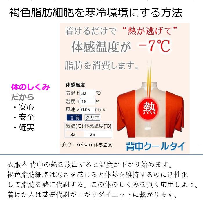 交感神経・痩せる仕組を引き出すダイエット器具 サプリ お茶 コーヒー より 即効果 体重を落とす 魔法の背中クールタイ 脊髄周り褐色脂肪細胞 冷却 オリジナル品 |  | 11