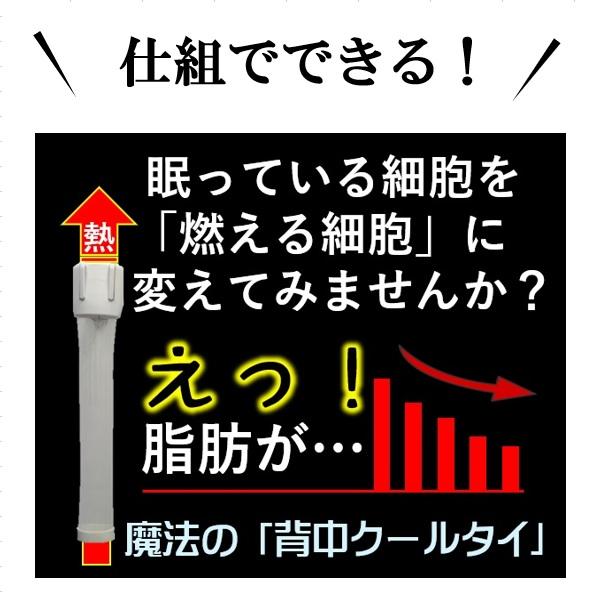 交感神経・痩せる仕組を引き出すダイエット器具 サプリ お茶 コーヒー より 即効果 体重を落とす 魔法の背中クールタイ 脊髄周り褐色脂肪細胞 冷却 オリジナル品 |  | 14