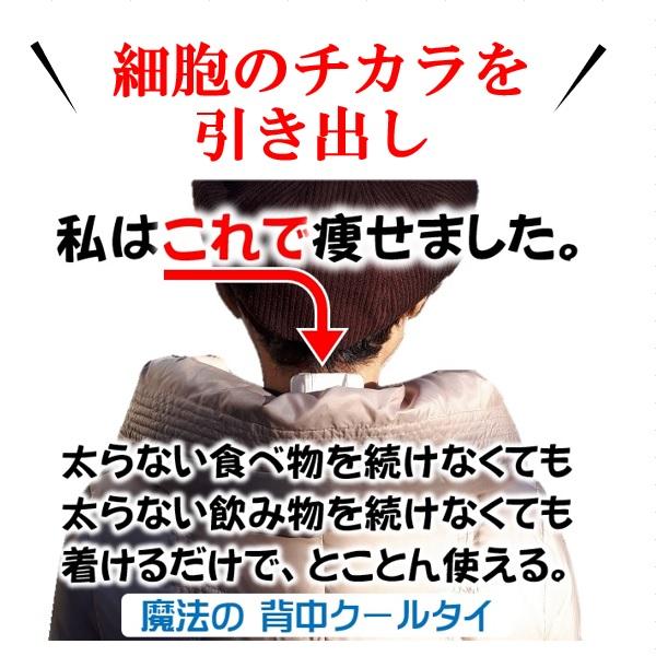 あったかインナー「冬の汗冷え対策」活動時 背中 汗だく 汗 蒸れ 暑さ対策 ヒンヤリ 解消 健康グッズ 魔法の背中クールタイ 着けるだけ 背中冷却 2役 ダイエット |  | 14