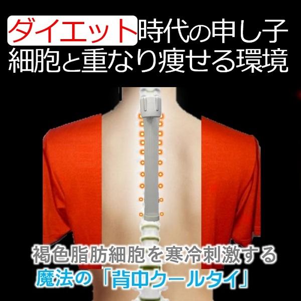 あったかインナー「冬の汗冷え対策」活動時 背中 汗だく 汗 蒸れ 暑さ対策 ヒンヤリ 解消 健康グッズ 魔法の背中クールタイ 着けるだけ 背中冷却 2役 ダイエット |  | 09