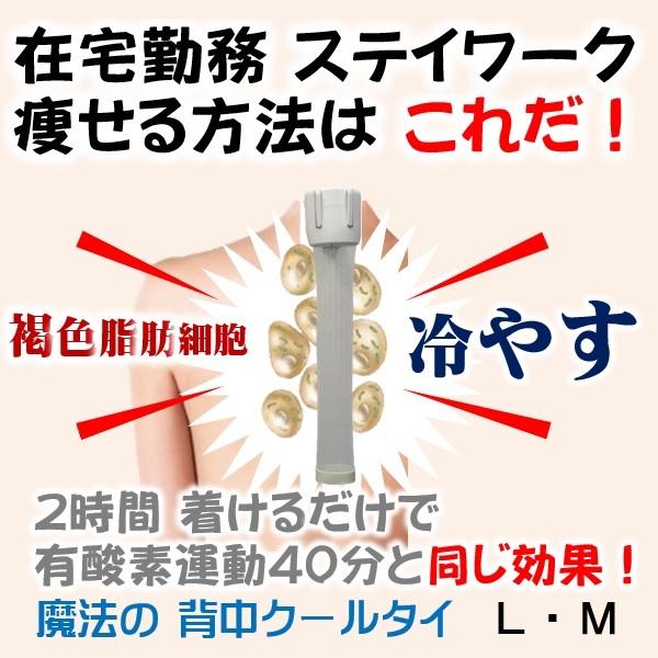 あったかインナー「冬の汗冷え対策」活動時 背中 汗だく 汗 蒸れ 暑さ対策 ヒンヤリ 解消 健康グッズ 魔法の背中クールタイ 着けるだけ 背中冷却 2役 ダイエット |  | 12
