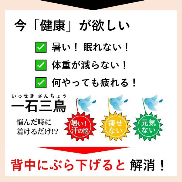 母の日 父の日 還暦祝い 敬老の日 高齢者 内祝い プレゼント 健康維持 熱中症対策 グッズ ダイエット器具 一石三鳥 魔法の背中クールタイとネックタイ 送料無料 |  | 01