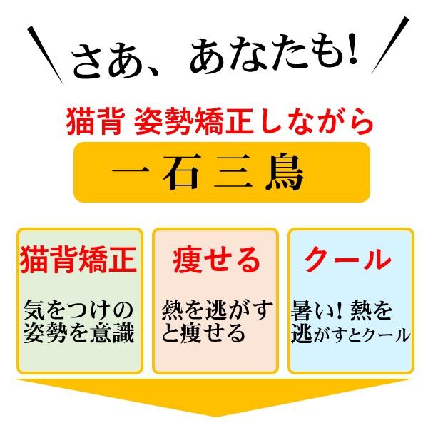 母の日 父の日 還暦祝い 敬老の日 高齢者 内祝い プレゼント 健康維持 熱中症対策 グッズ ダイエット器具 一石三鳥 魔法の背中クールタイとネックタイ 送料無料 |  | 18