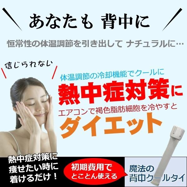 吸水速乾 クールビズ軽装 こもる熱 放出さらに冷却する 魔法の背中クールタイ 日傘は遮光 背中汗蒸れない 汗 暑さ 熱中症対策 グッズ 着ている衣服が節電 空調服 |  | 17