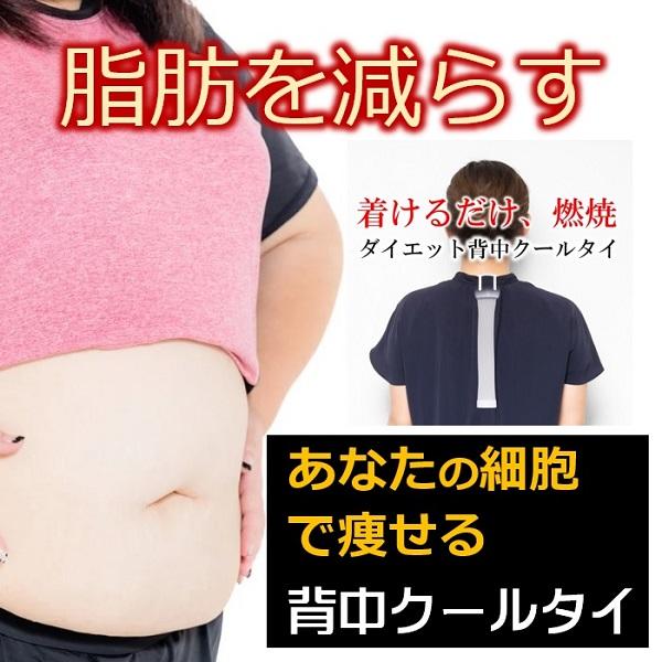サプリメント お茶 より 交感神経 痩せる仕組を引き出し脂肪を減らす ダイエット器具 背中クールタイ 褐色脂肪細胞 冷却 お腹周り 脂肪燃焼 即効果 安心 安全 |  | 01