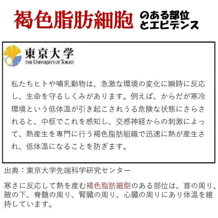 サプリメント お茶 より 交感神経 痩せる仕組を引き出し脂肪を減らす ダイエット器具 背中クールタイ 褐色脂肪細胞 冷却 お腹周り 脂肪燃焼 即効果 安心 安全 |  | 06