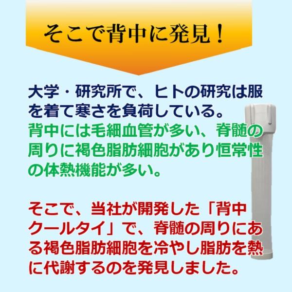 機能性 背中冷却 褐色脂肪細胞 活性化して代謝 脂肪を減らす 痩せる ダイエット器具 サプリより効果絶大  お腹周り 脂肪燃焼  安心 安全 魔法の背中クールタイ｜senakacool｜10