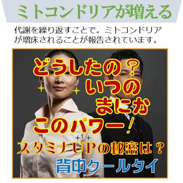 妊活 交感神経・ミトコンドリアを増やす仕組を引き出す 背中クールタイ 一日３０分 着けるだけ 在宅勤務 通勤通学 家事 買い物 有酸素運動 ２役 熱中症対策にも |  | 12