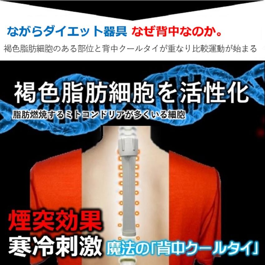 ながらダイエット 背中痩せ 生活習慣病予防 メタボ対策 褐色脂肪細胞