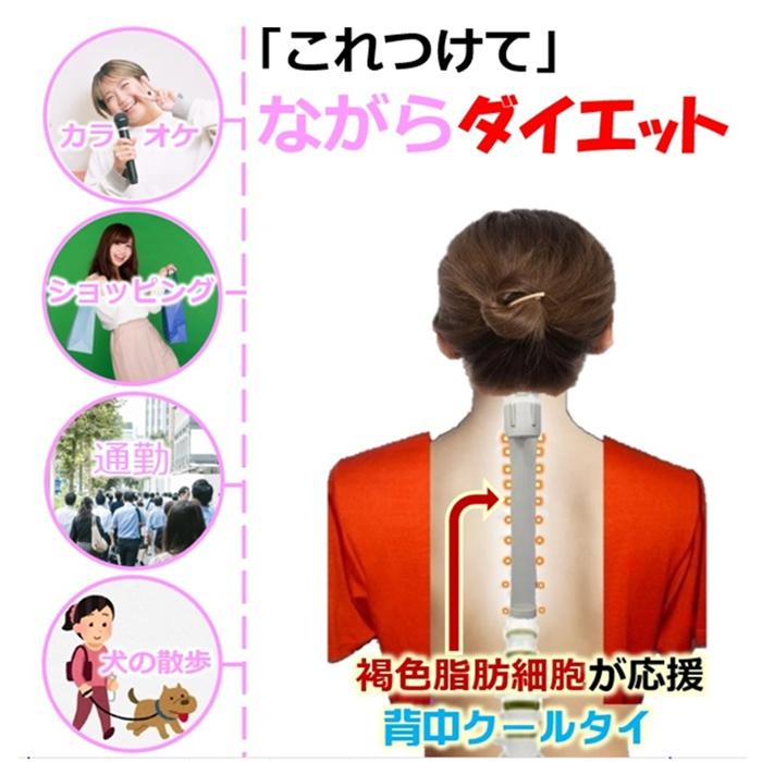 カラオケ ショッピング 通勤通学 犬の散歩 ながらダイエッ器具 交感神経  痩せる仕組を引き出す魔法の 背中クールタイ  有酸酸素運動 運消費カロリー 2倍の効果 | 