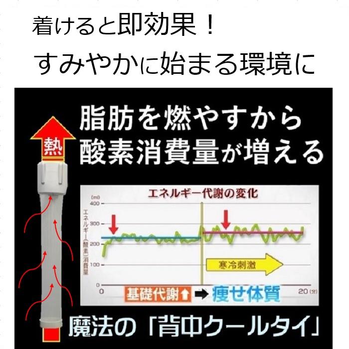 カラオケ ショッピング 通勤通学 犬の散歩 ながらダイエッ器具 交感神経  痩せる仕組を引き出す魔法の 背中クールタイ  有酸酸素運動 運消費カロリー 2倍の効果 |  | 16