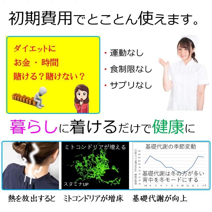 カラオケ ショッピング 通勤通学 犬の散歩 ながらダイエッ器具 交感神経  痩せる仕組を引き出す魔法の 背中クールタイ  有酸酸素運動 運消費カロリー 2倍の効果 |  | 20