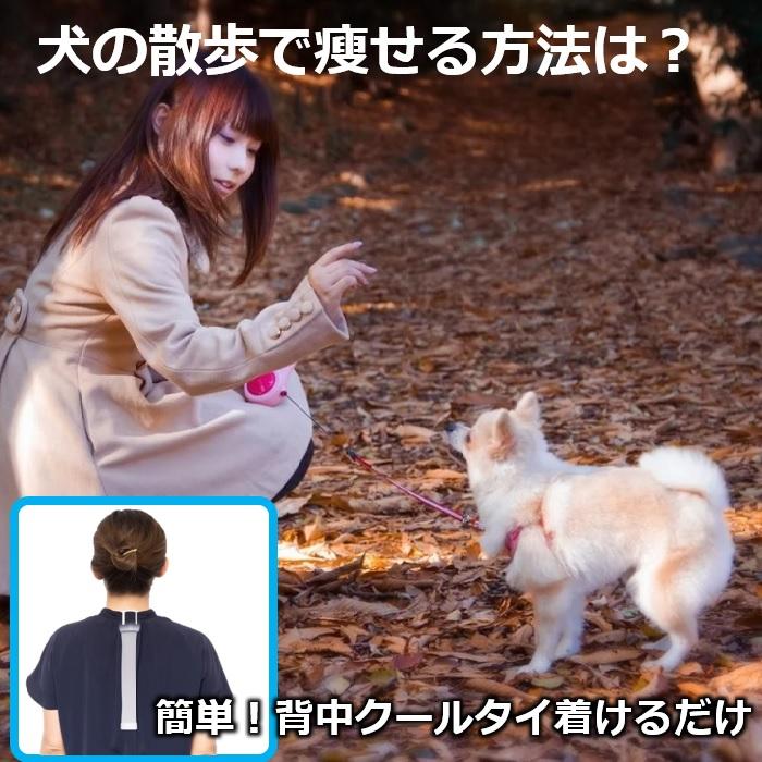 カラオケ ショッピング 通勤通学 犬の散歩 ながらダイエッ器具 交感神経  痩せる仕組を引き出す魔法の 背中クールタイ  有酸酸素運動 運消費カロリー 2倍の効果 |  | 04