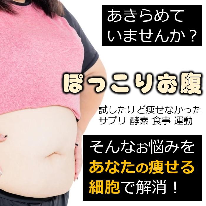 ミトコンドリア 痩せる サプリ お茶 コーヒーより即効果 交感神経 脂肪冷却 ダイエット 背中クールタイ 着けるだけ お腹まわり プヨプヨ脂肪 燃焼 オリジナル品 |  | 01