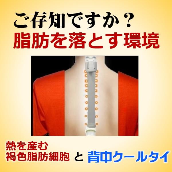 オリジナル品 交感神経 刺激 基礎代謝上げて痩せる仕組を引き出すダイエット器具 背中クールタイ お腹 引き締め即効果 有酸素運動 安静時背中痩せ 中性脂肪落す |  | 03
