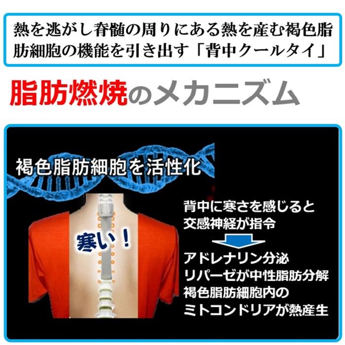 転売 着ている衣服が空調服に変わる 背中クールタイ 熱中症対策 15本セット袋付 汗かいても濡れない「背中クールタイ」と「ムレダス」のお得なセット着