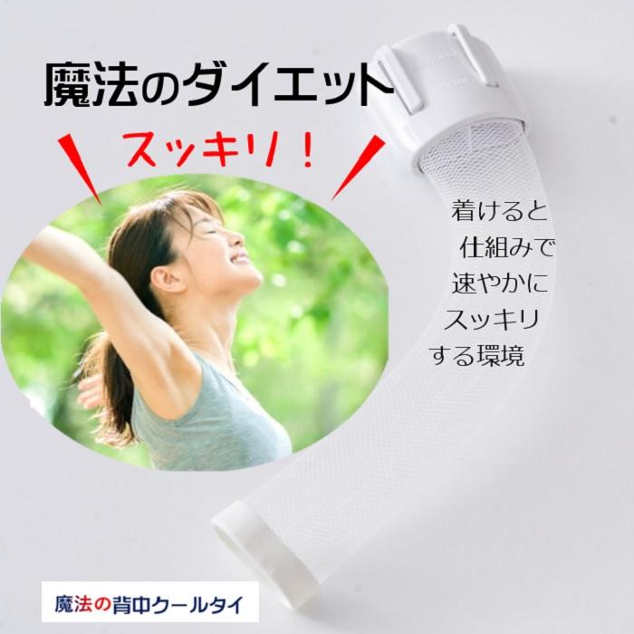 汗かいても濡れない「背中クールタイ」と「ムレダス」のお得なセット着