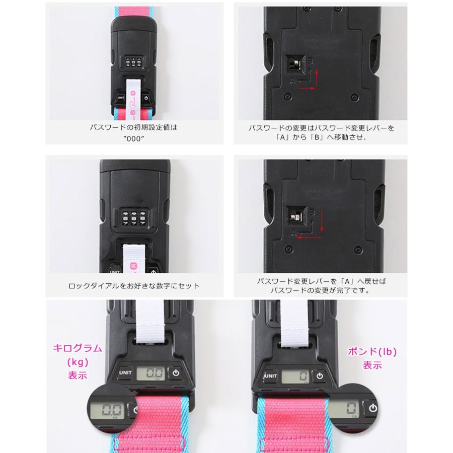 ニンテンドースイッチ パスワードロック イメージポケモンコレクション