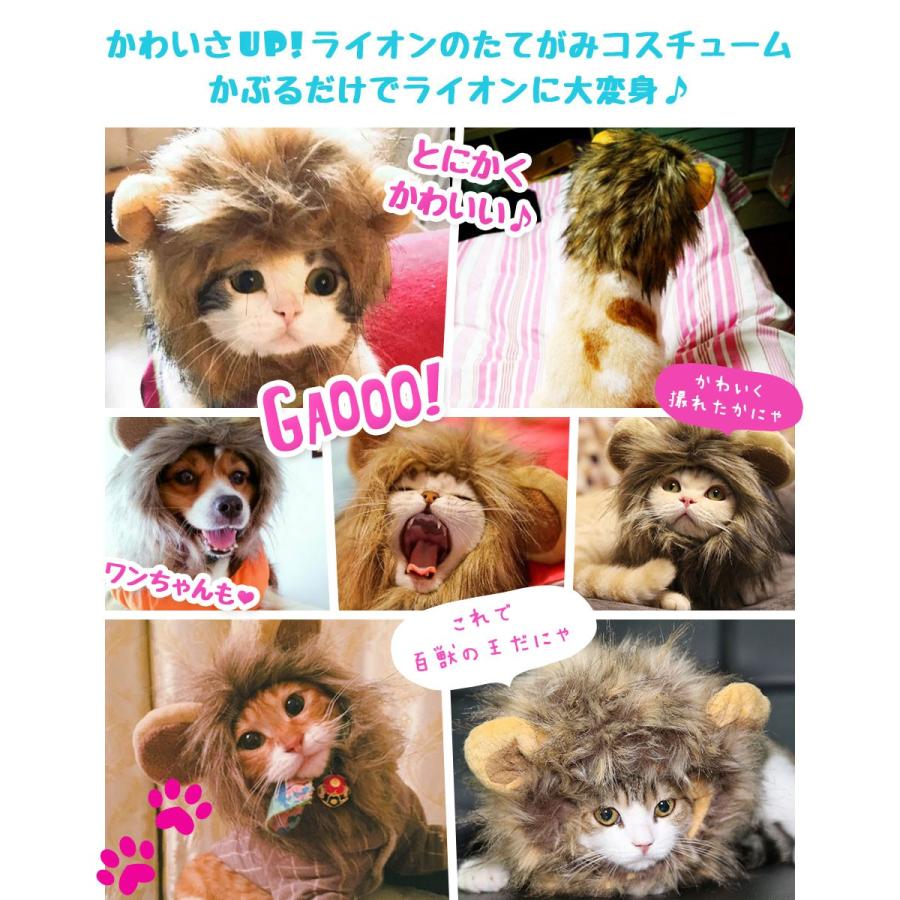 ねこ かぶりもの ライオン たてがみ 帽子 コスプレ 変身 かつら かわいい 猫 小型犬 被り物 ウィッグ ペット グッズ 仮装 ねこちゃん 人気 y4｜senastyle｜03