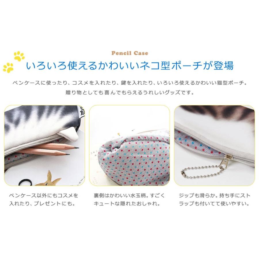 ペンケース おしゃれ 猫 かわいい ポーチ 可愛い 筆箱 小物入れ ファスナー 筆入れ メガネケース 眼鏡 めがね リアル にゃんこ ねこ 高校生 化粧ポーチ Y1 Otd 0 セナスタイル 通販 Yahoo ショッピング