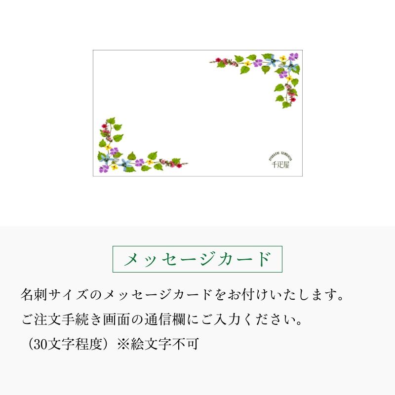 千疋屋 ギフト マスクメロン1個・桐箱入（約1.3kg） 京橋千疋屋 | 京橋千疋屋 | 13