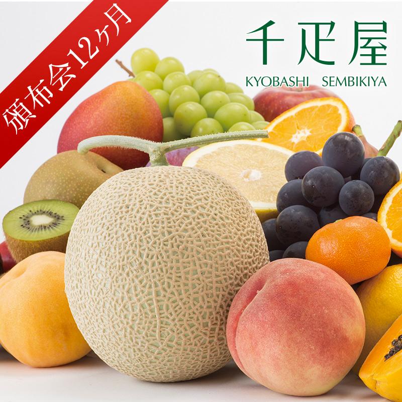 千疋屋 ギフト フルーツ頒布会B国産コース12ヶ月（17，000円×12ヶ月） 京橋千疋屋