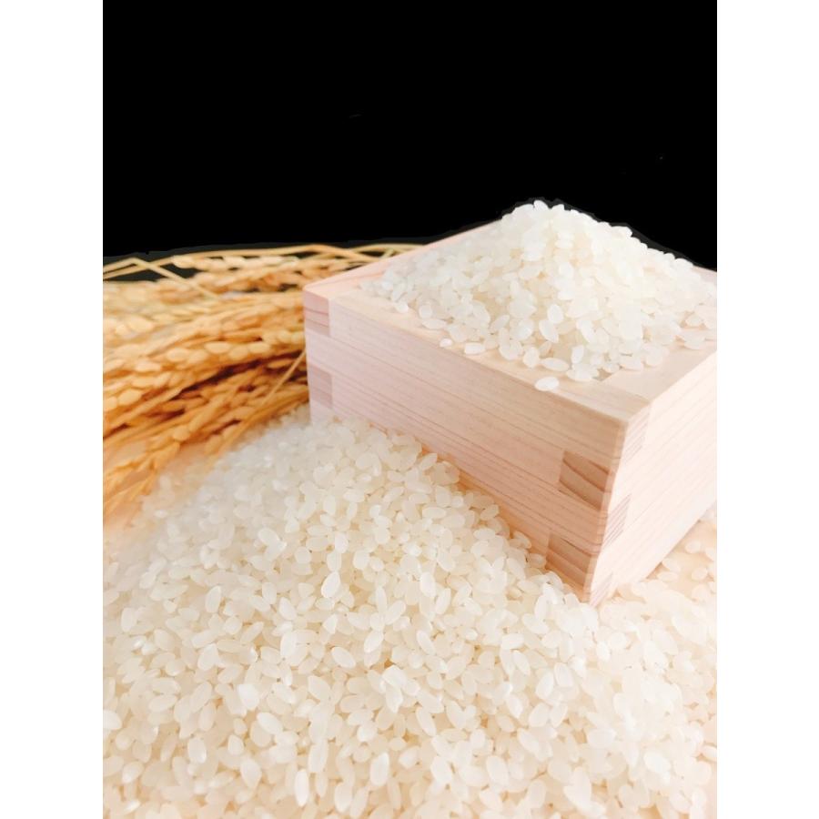 あきたこまち お米 30kg(5kg×6) 秋田県産あきたこまち 令和6年産 あきたこまち お米 30kg(5kg×6) 秋田県産あきたこまち 令和6年産