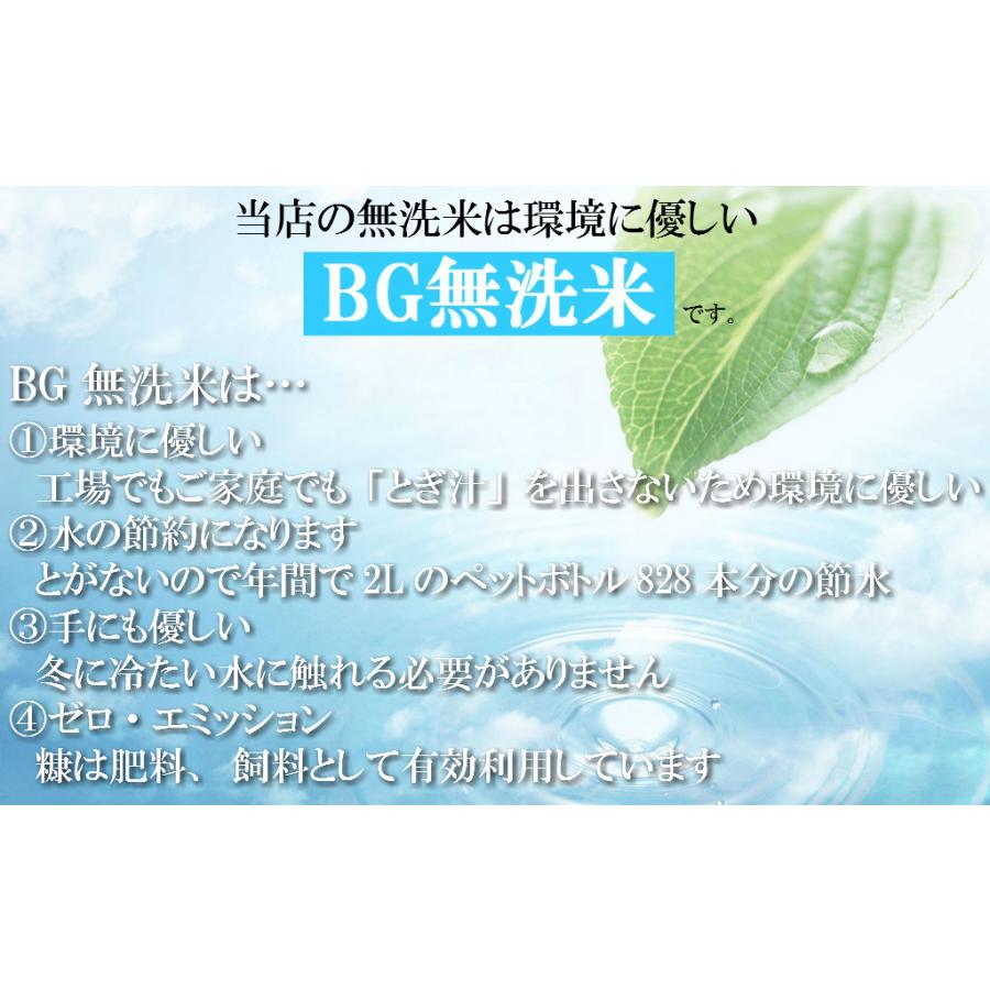 お米 BG無洗米 10kg(5kg×2） 新潟県産コシヒカリ  令和5年産｜senda｜05