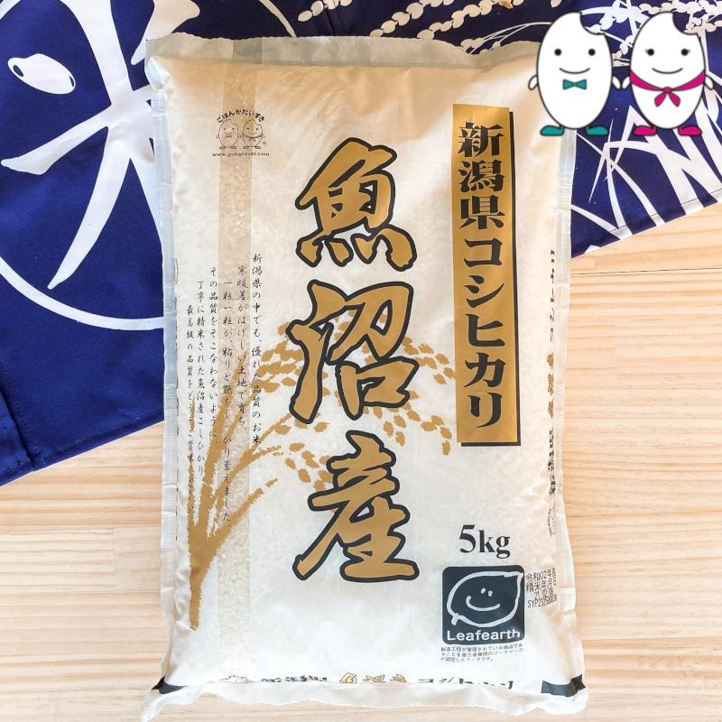 コシヒカリ お米 5kg 新潟県魚沼産コシヒカリ 令和6年産 : 千田 コシヒカリ お米 5kg 新潟県魚沼産コシヒカリ 令和6年産 : 千田