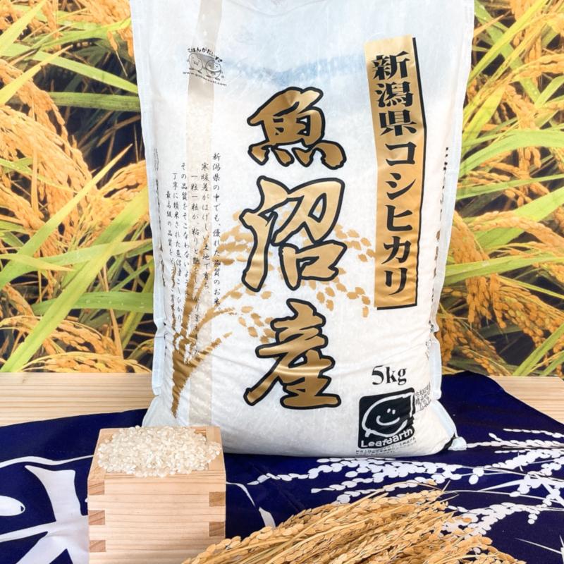 コシヒカリ お米 5kg 新潟県魚沼産コシヒカリ 令和6年産 : 千田 コシヒカリ お米 5kg 新潟県魚沼産コシヒカリ 令和6年産 : 千田