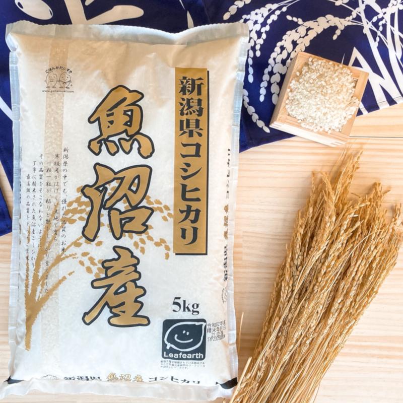 コシヒカリ お米 5kg 新潟県魚沼産コシヒカリ 令和6年産 : 千田 コシヒカリ お米 5kg 新潟県魚沼産コシヒカリ 令和6年産 : 千田