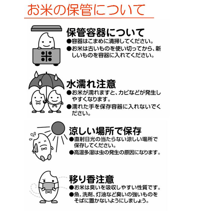 お米 BG無洗米 10kg(5kg×2） 北海道産ななつぼし 令和5年産｜senda｜05