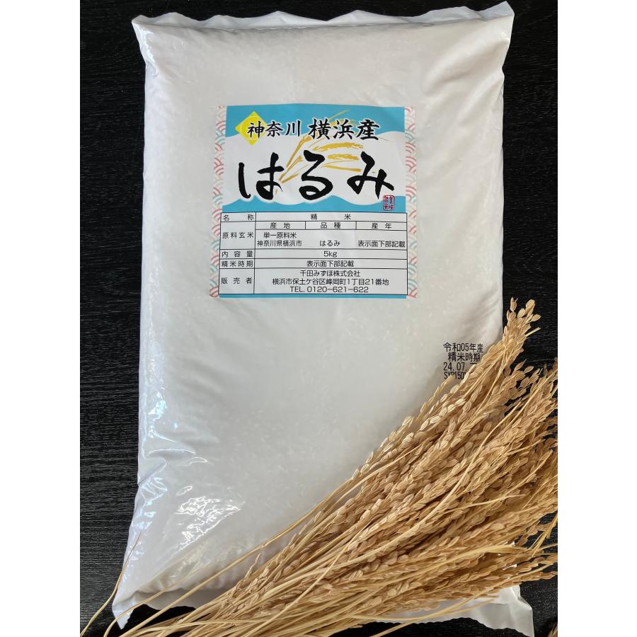 はるみ米 玄米24kg