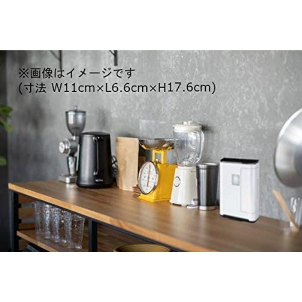 リオン タムラテコ オゾン発生器 Lyon3.0 除菌 消臭 空気清浄 リオン タムラテコ オゾン発生器 Lyon3.0 除菌 消臭 空気清浄