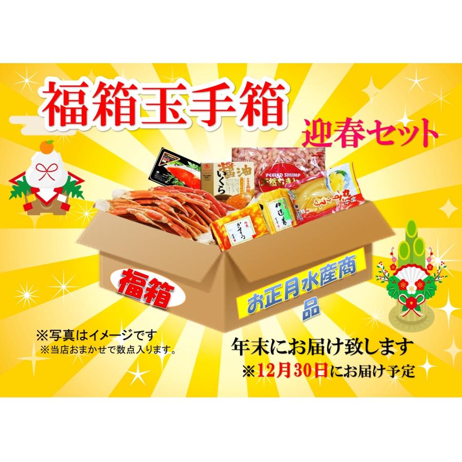 2024年 福袋 お正月 水産 福箱 玉手箱 迎春セット
