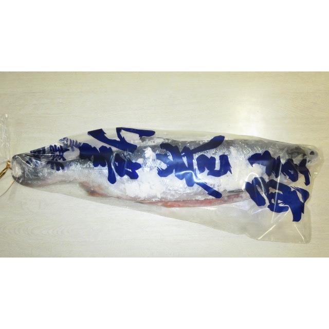 魚 ギフト 北海道産 銀毛 新巻鮭 1本 化粧箱 入れ 1.8〜2kg 贈り物 ご自宅用に 人気商品 :sk-001:仙台漬魚 - 通販 - Yahoo!ショッピング 魚 ギフト 北海道産 銀毛 新巻鮭 1本 化粧箱 入れ 1.8〜2kg 贈り物 ご自宅用に 人気商品 :sk-001:仙台漬魚 - 通販 - Yahoo!ショッピング
