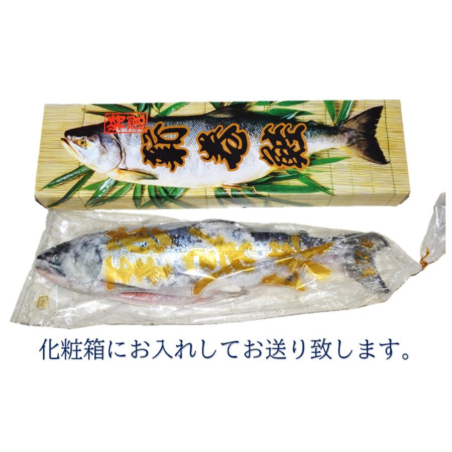 しゃけさん用お品 魚 ギフト お歳暮 ご贈答 令和7年 新物 北海道産 銀毛 新巻鮭 北海道