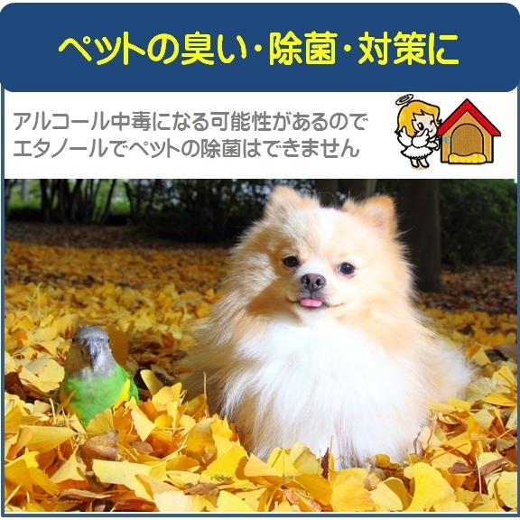 次亜塩素酸 エンジェルウォーター10L 200ppm コック付 期間限定 次亜塩素酸水 消臭 除菌 |  | 12