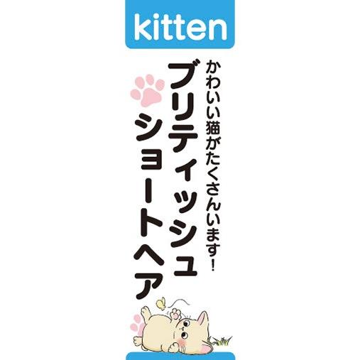 のぼり　のぼり旗　ブリティッシュショートヘア　猫　キャット｜sendenjapan