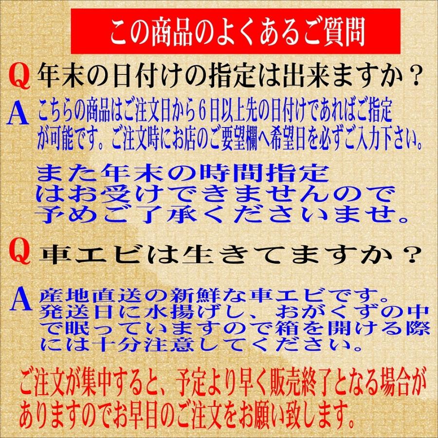 熊本天草産 車海老 お刺身用 養殖 500g(16~20尾前後） 丸山水産 お歳暮 贈答品 ギフト｜sendoichiba｜02