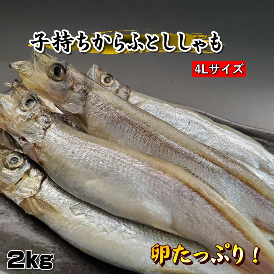 子持ちししゃも カナダ又はアイスランド・ノルウェー産【約2.0kg