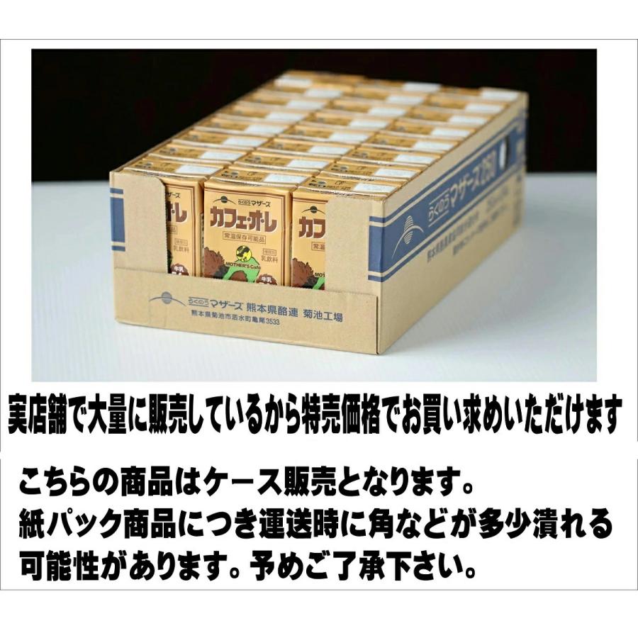 らくのう カフェオレ 250ml×24本入 らくのうマザーズ 熊本【送料無料