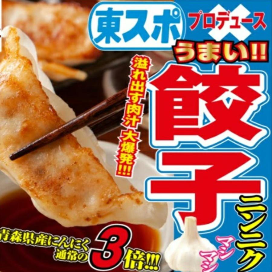 東スポ餃子 冷凍餃子50個入 【送料無料 東スポ 餃子 22g×50個入 東スポ餃子 冷凍餃子50個入 【送料無料 東スポ 餃子 22g×50個入