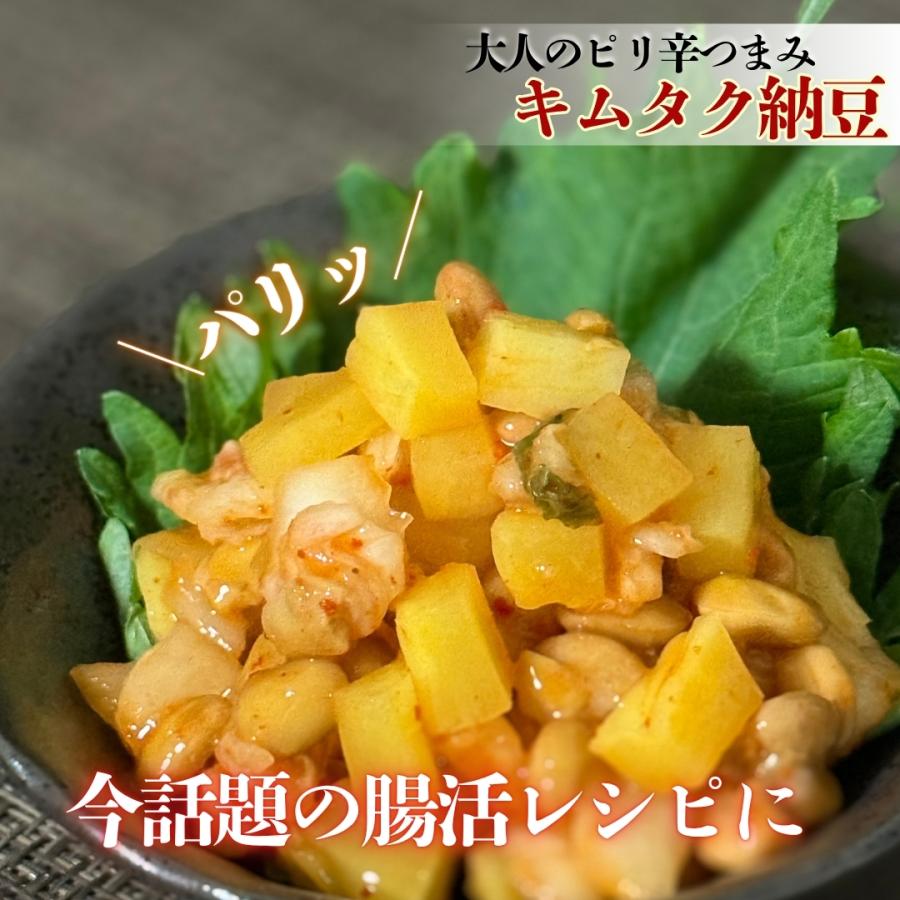 九州農産 九州一本たくあん 20本入りセット 宮崎 沢庵 九州 たくあん