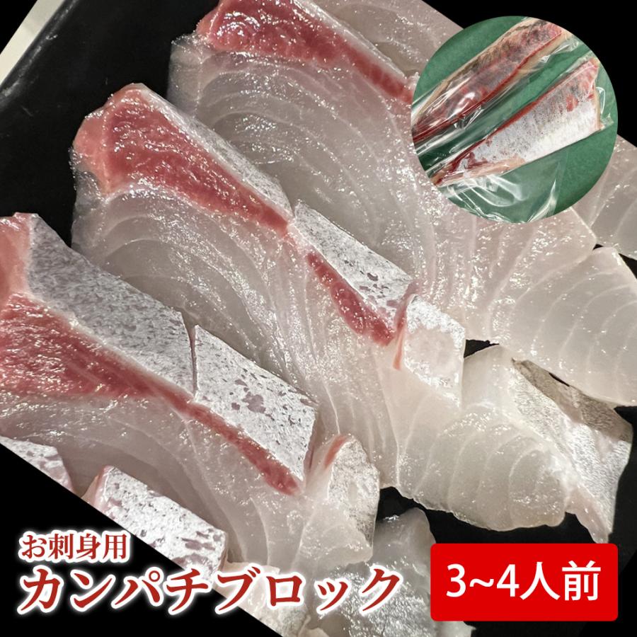 カンパチブロック 熊本天草産 お刺身用 産地直送 送料無料 3 4人前 お祝い お歳暮 期間限定 カンパチ刺身用 かんぱち お刺身用かんぱち Kannpati 001 鮮ど市場 通販 Yahoo ショッピング