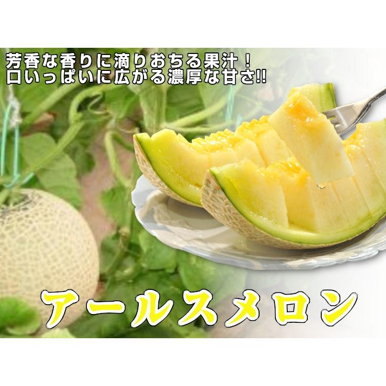 熊本県産　アールスメロン　1玉約1.5kg前後 Amazon.co.jp: 熊本県産メロン 1玉（1玉約1.5kg～2kg） : 食品