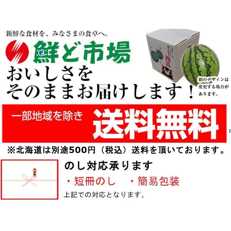 熊本産スイカ　１玉（Lサイズ）(1玉約5~6kg) 送料無料 スイカ 熊本 母の日 父の日 夏ギフト 旬の果物 ご贈答用 ご家庭用 誕生日 お祝い 記念日｜sendoichiba｜03